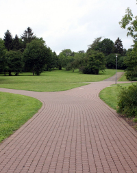 A photo of diverging pathways representing different strategies for financial sustainability