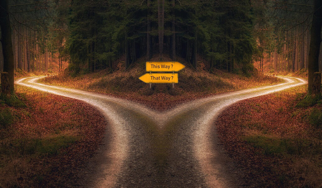 Image of a trail in the woods forking in two directions with signposts saying This Way and That Way