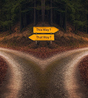 Image of a trail in the woods forking in two directions with signposts saying This Way and That Way